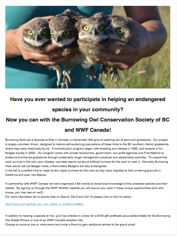 Screen Shot 2018-09-04 at 7.31.14 AM.png