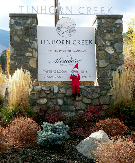 Screen Shot 2018-10-30 at 8.03.57 PM